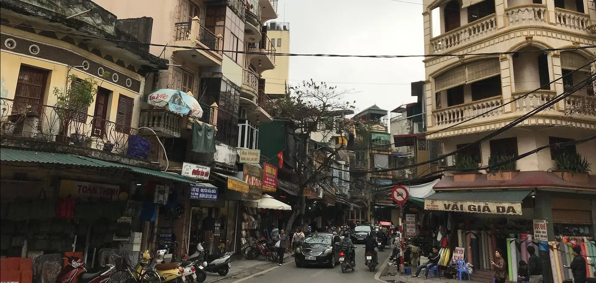 House Barbaard Vietnã, um mistério de barbudo para barbudo