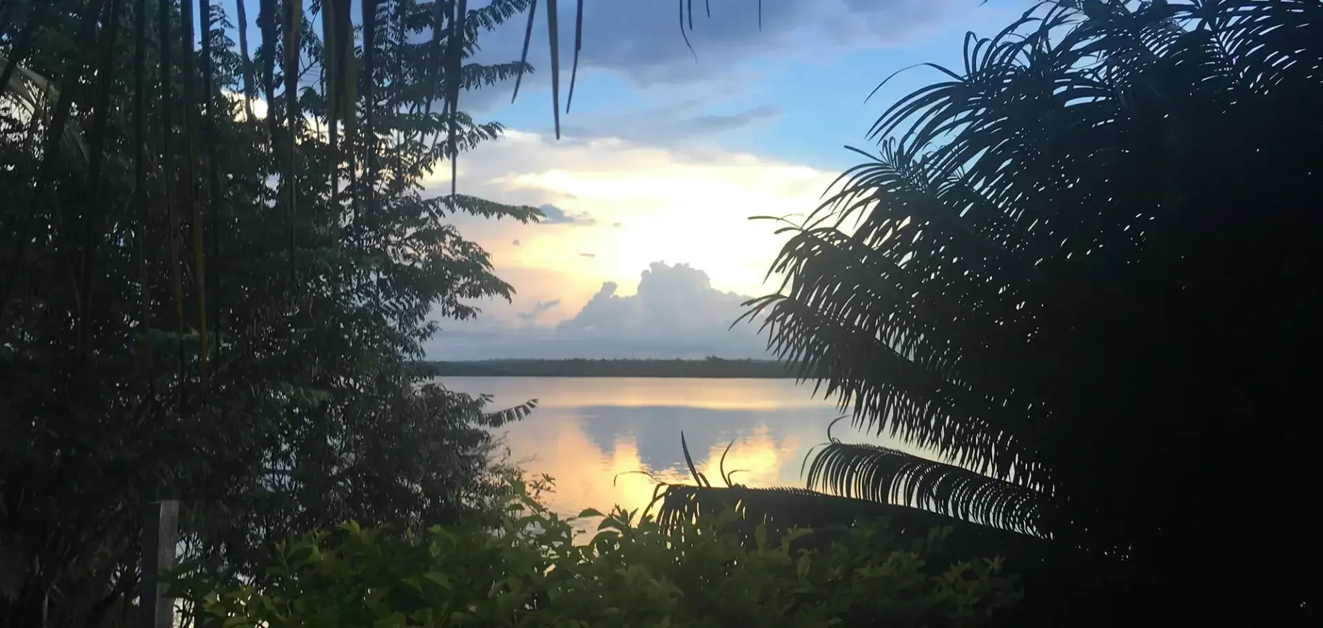 Barbudo sim, lenhador não! Amazônia, aí vamos nós.
