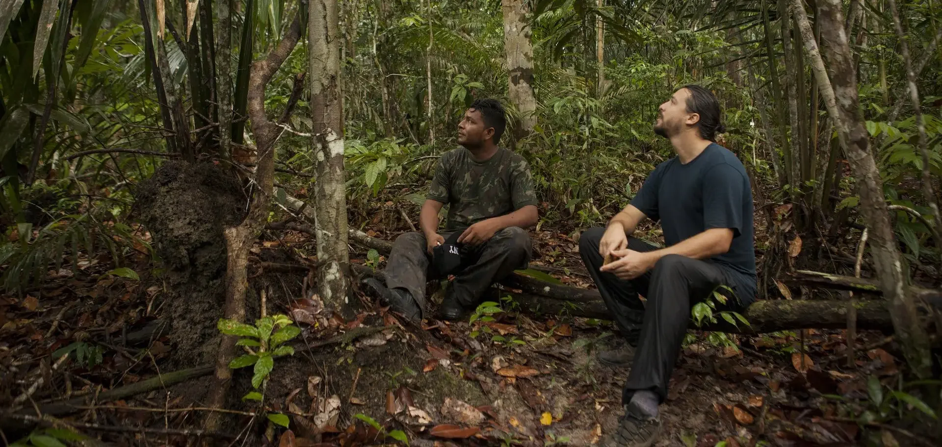 Grande figura do nosso projeto de reflorestamento