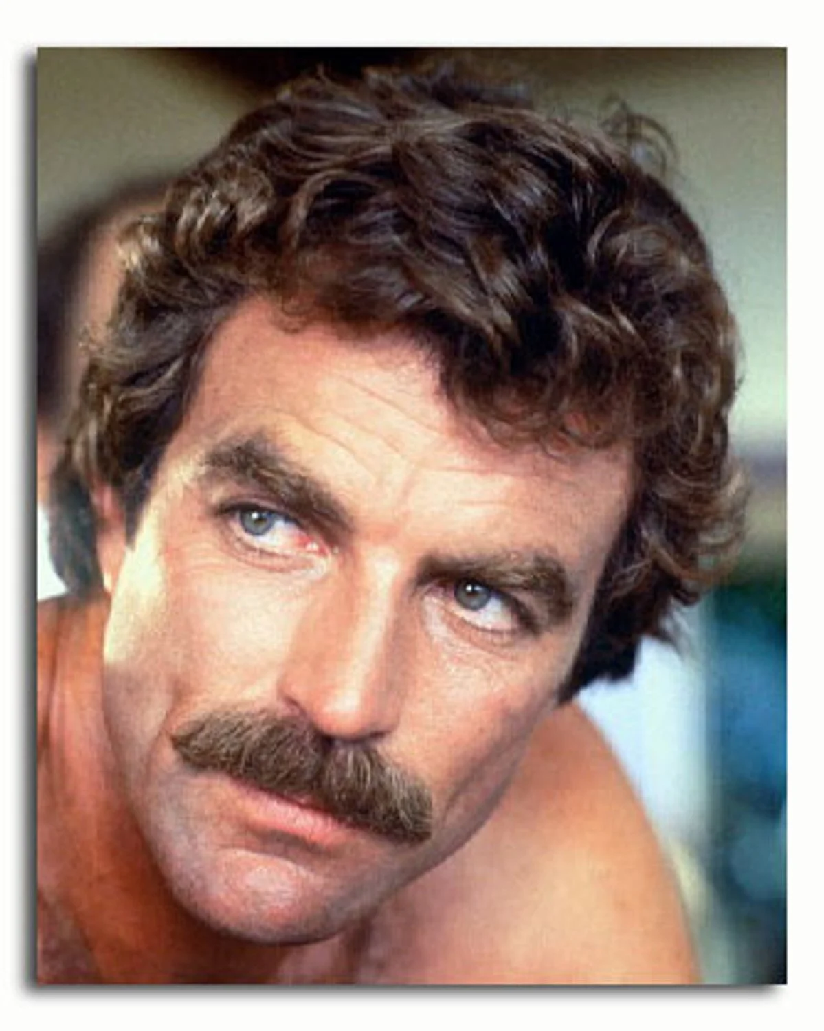 chevron_selleck.jpg
