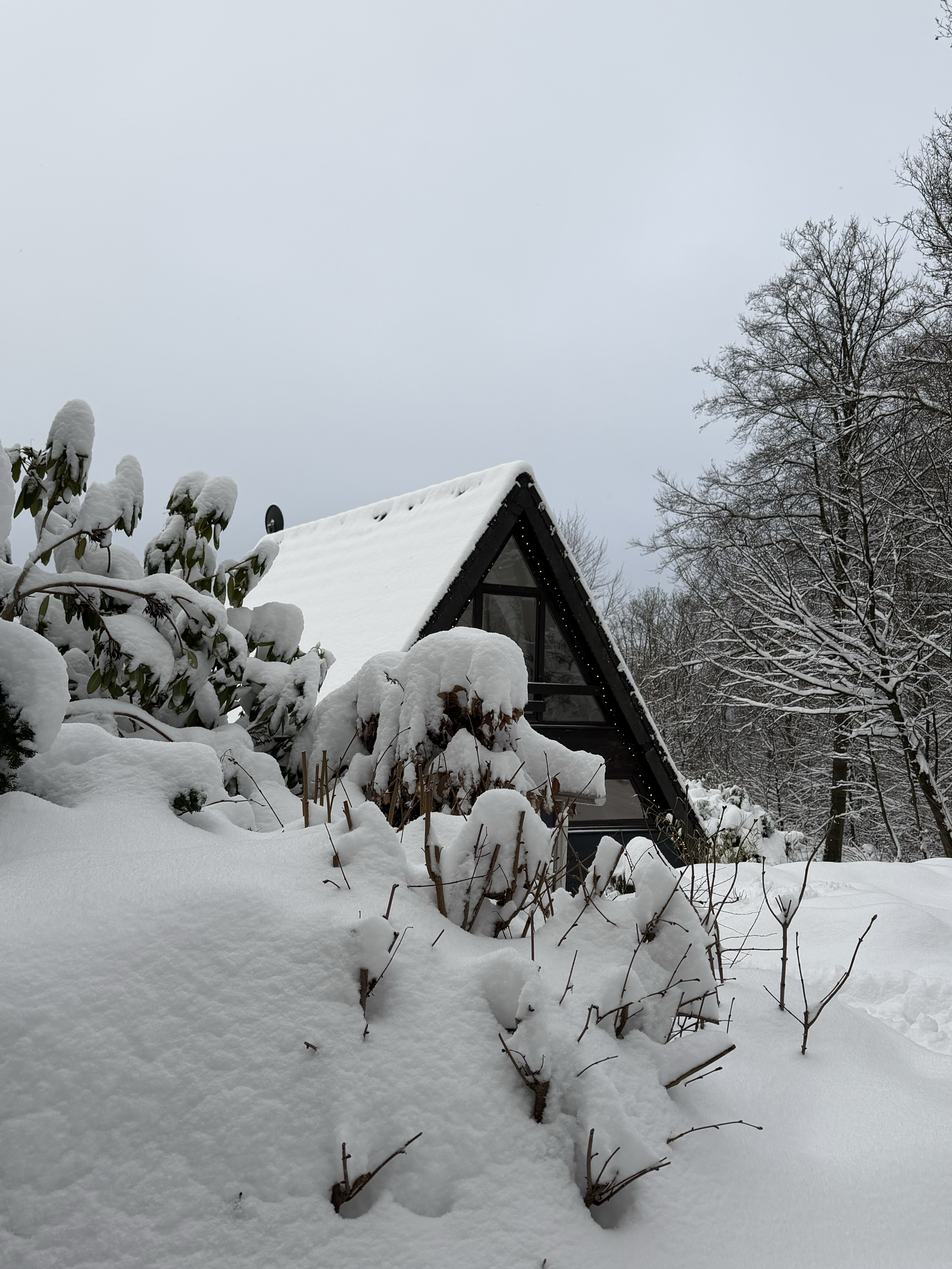 Schneebedecktes Haus und Bäume im Winter