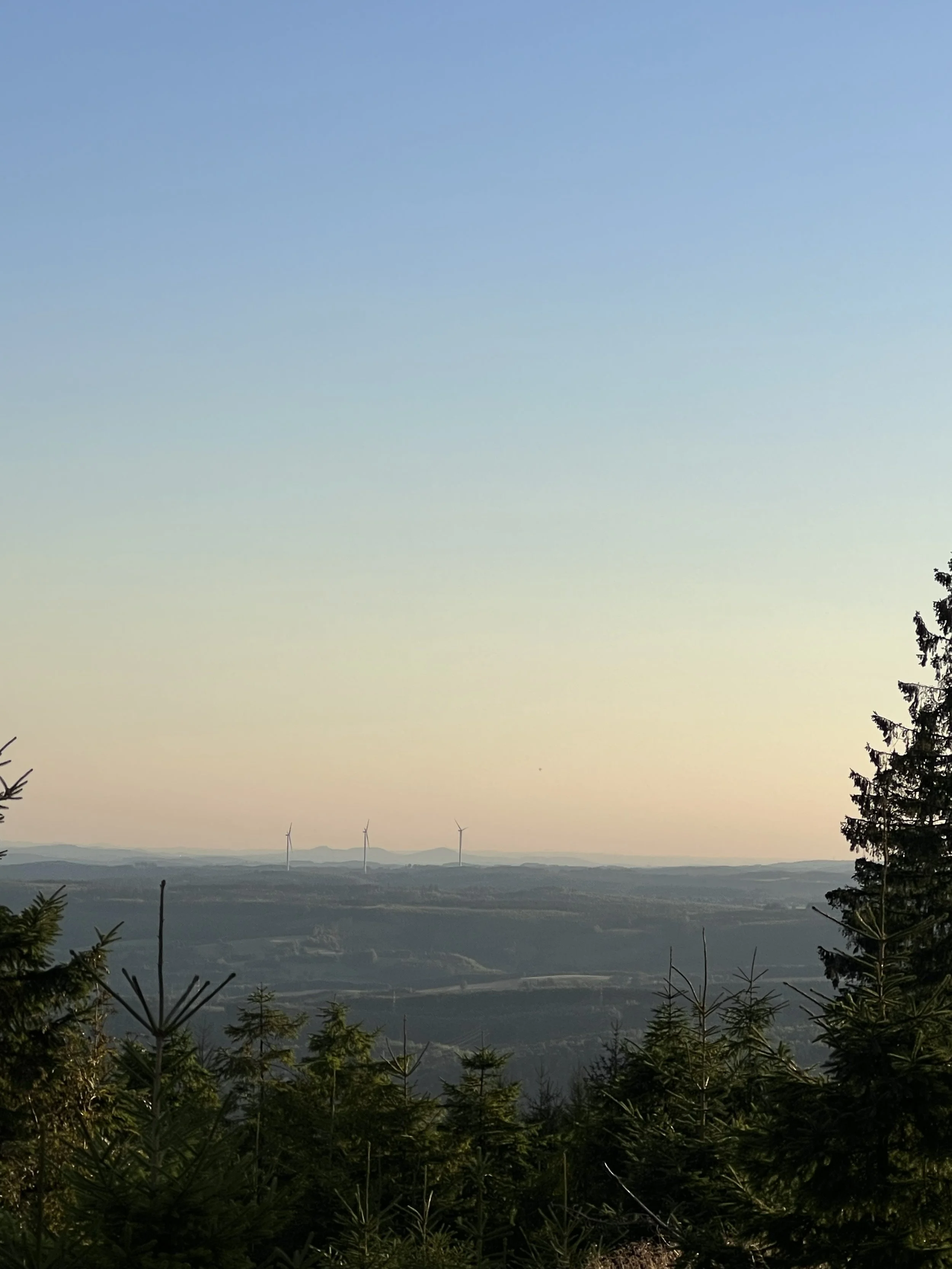 Blick auf ein Landschaftspanorama mit einem Himmel in Blau und Hellgelb, im Hintergrund Windkraftanlagen auf einer flachen Ebene, im Vordergrund Tannenbäume.