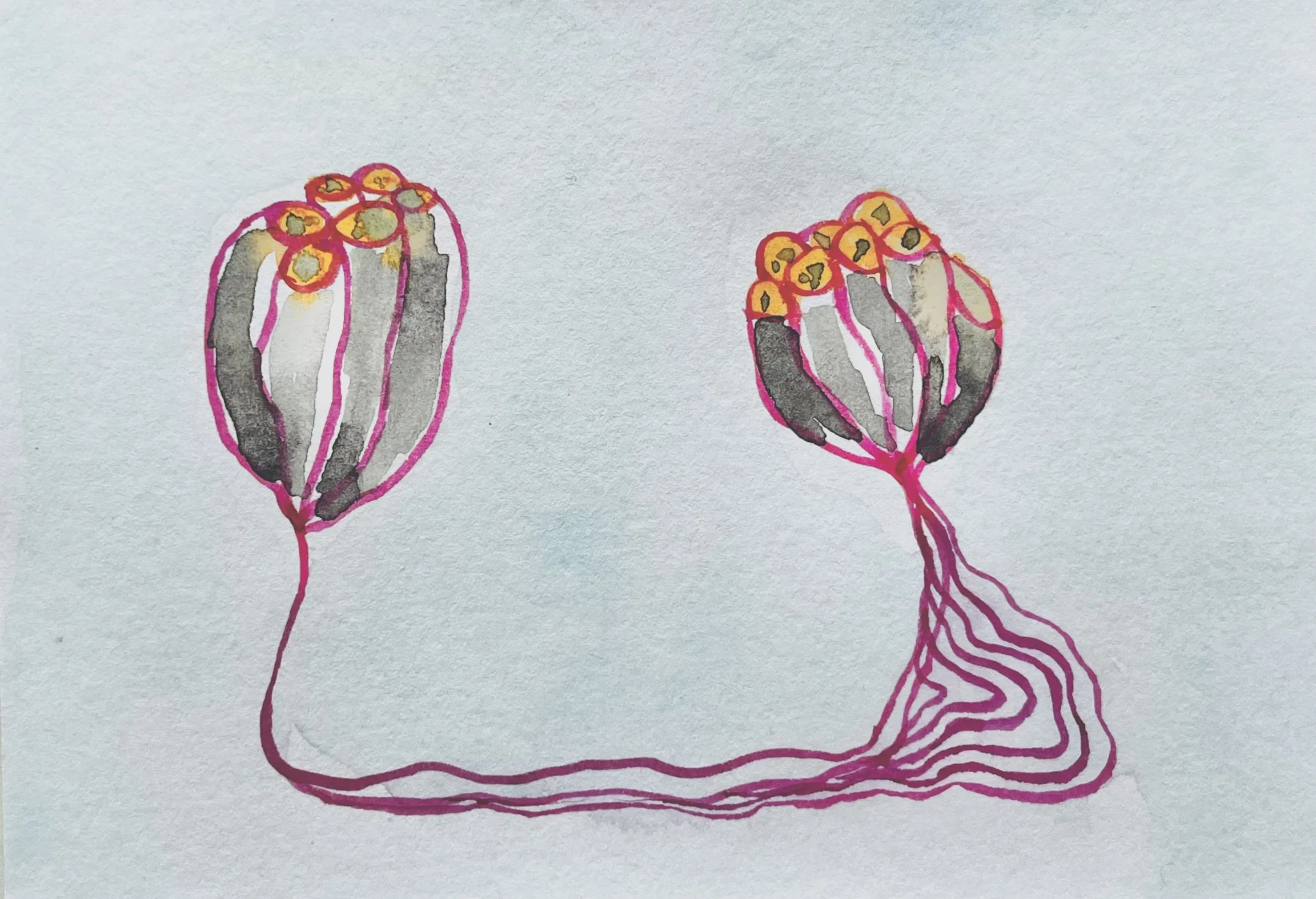 nat-036 aquarelle (12X14,7) 2024