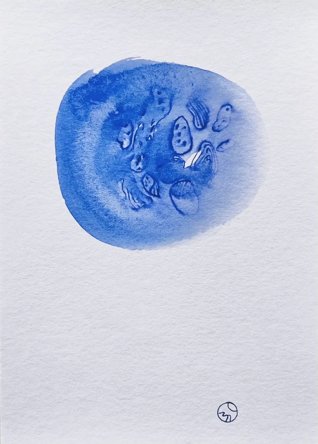 nat-044 encre, aquarelle (12X14,7) 2024