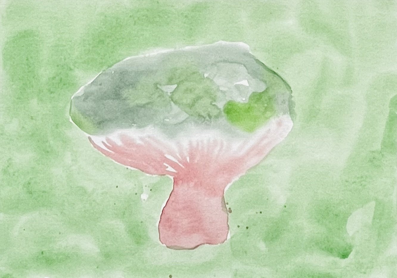 nat-008 aquarelle (14,8X21) 2024