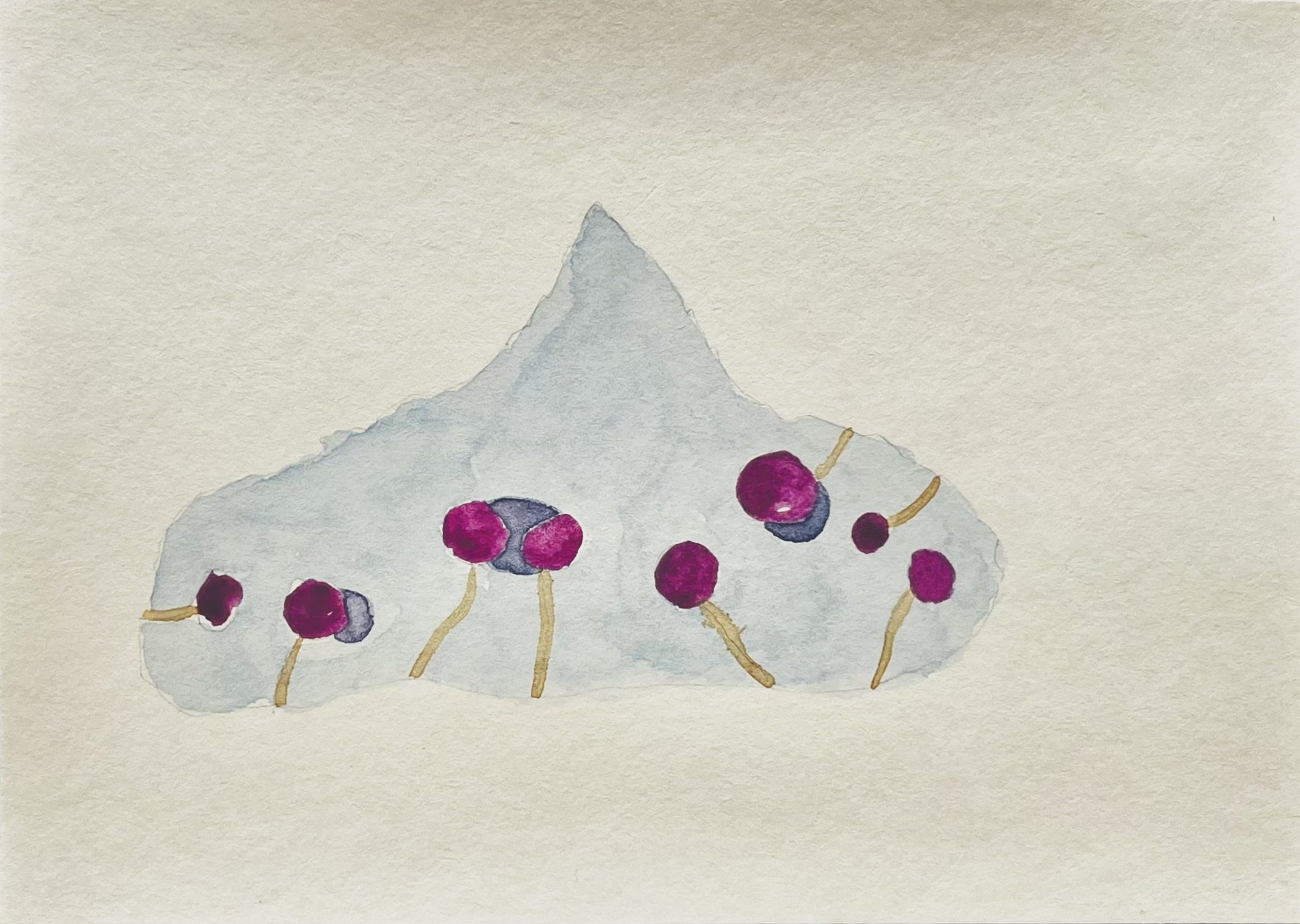 nat-028 aquarelle (12X14,7) 2024