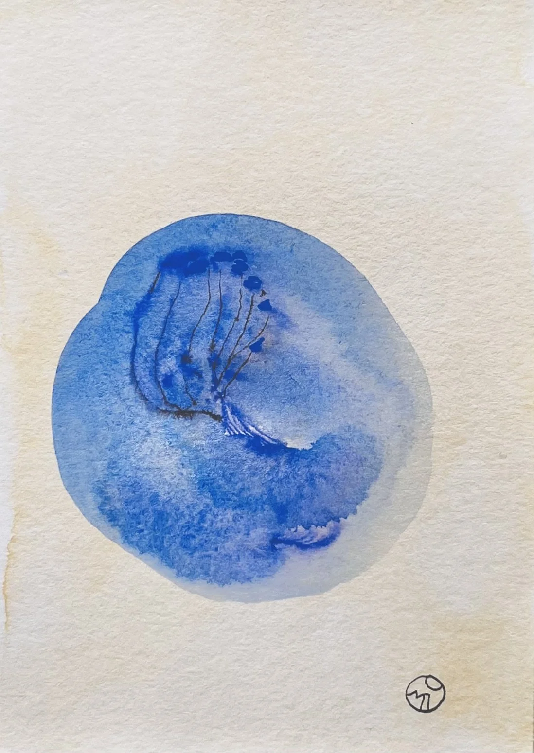 nat-042 encre, aquarelle (12X14,7) 2024