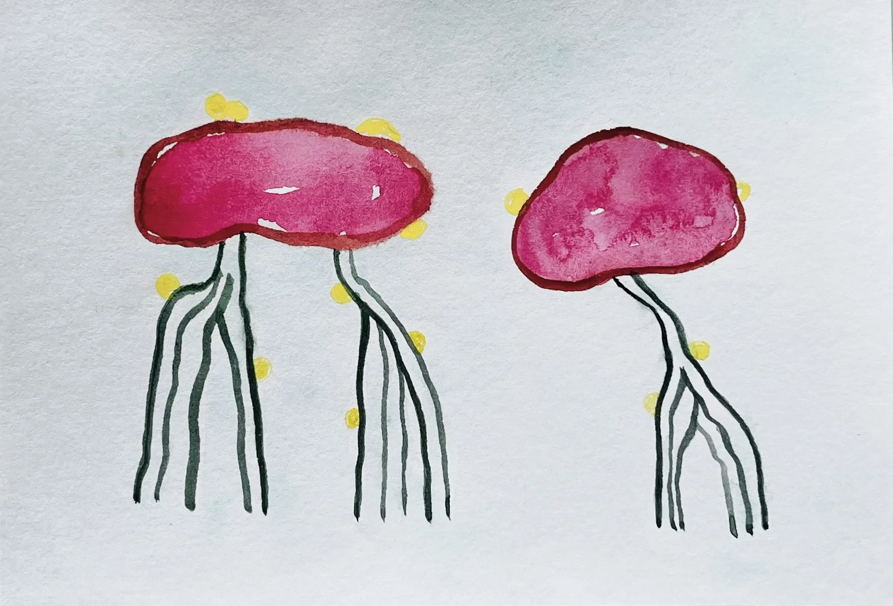 nat-032 aquarelle (12X14,7) 2024