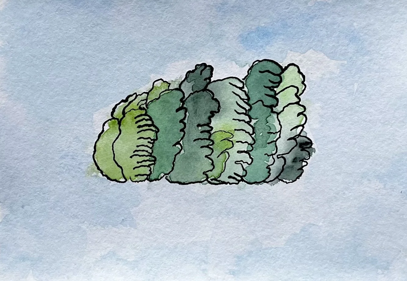 nat-059 encre, aquarelle (12X14,7) 2024