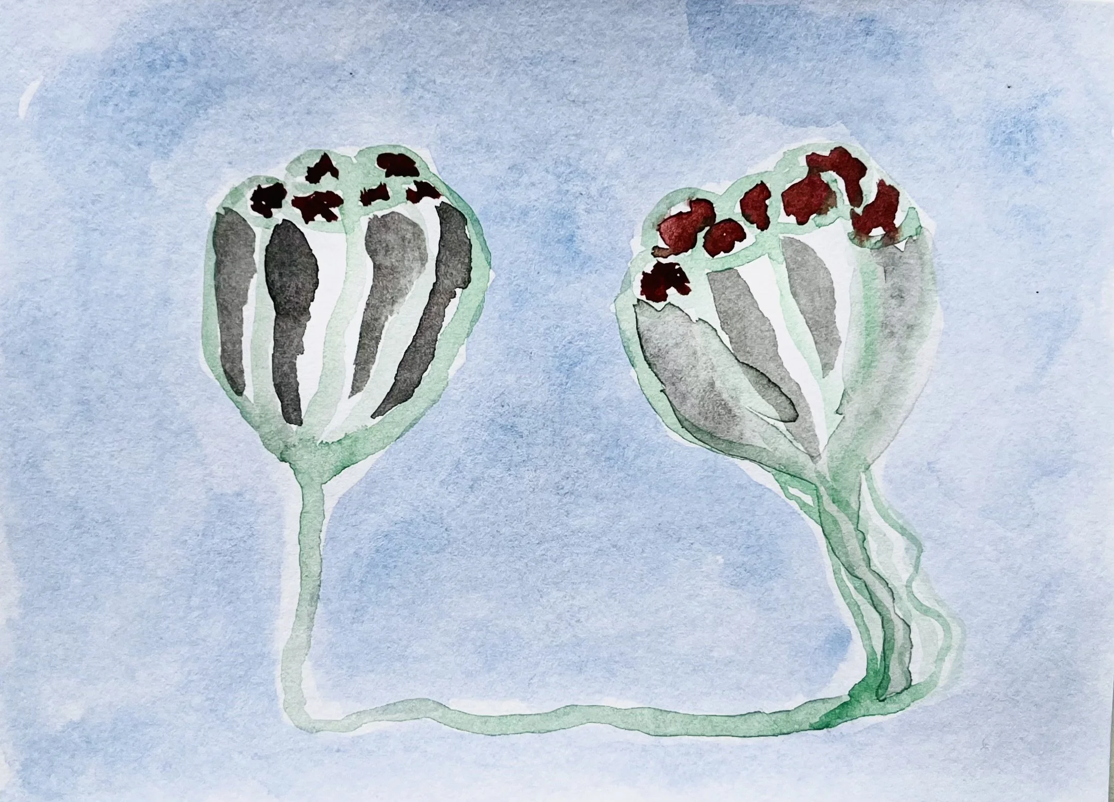 nat-035 aquarelle (12X14,7) 2024