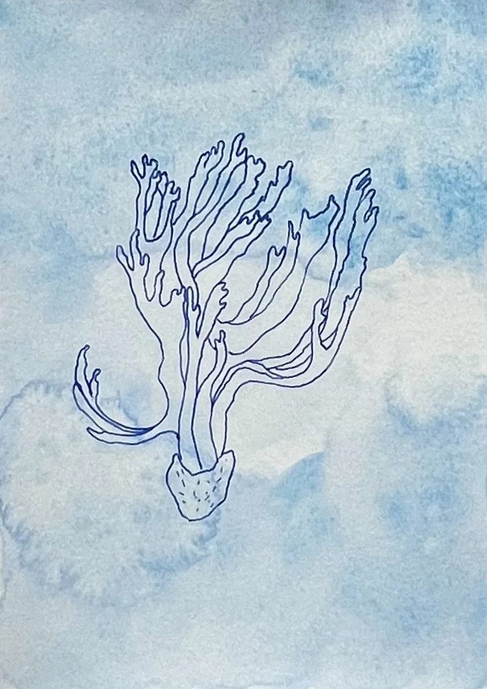 nat-013 aquarelle, encre (14,8X21) 2024