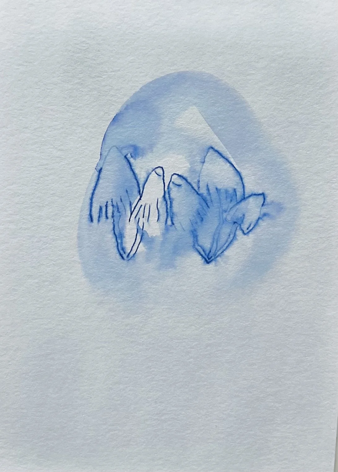 nat-038 encre, aquarelle (12X14,7) 2024