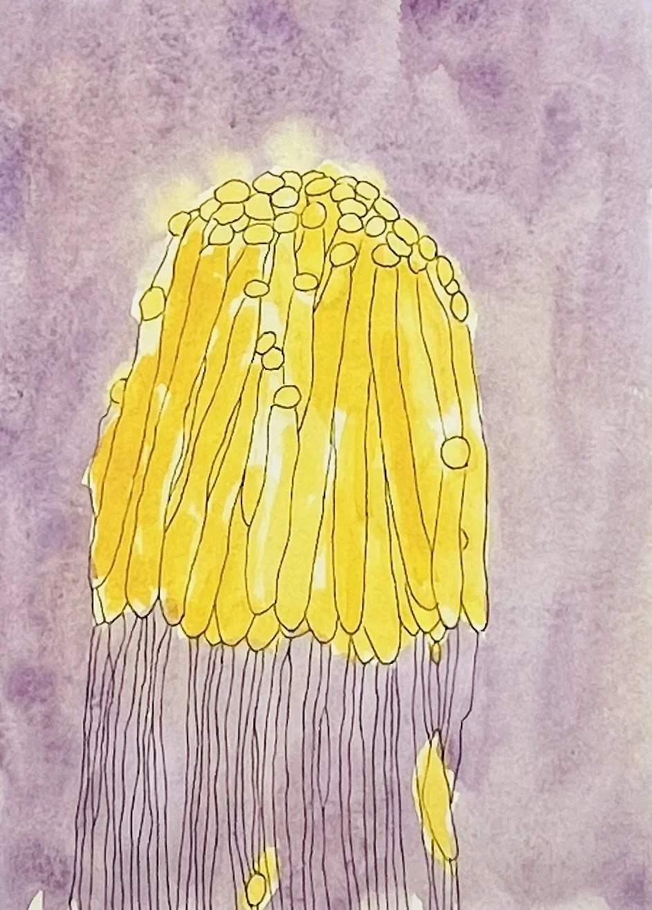 nat-002 aquarelle, crayon graphite (14,8X21) 2023