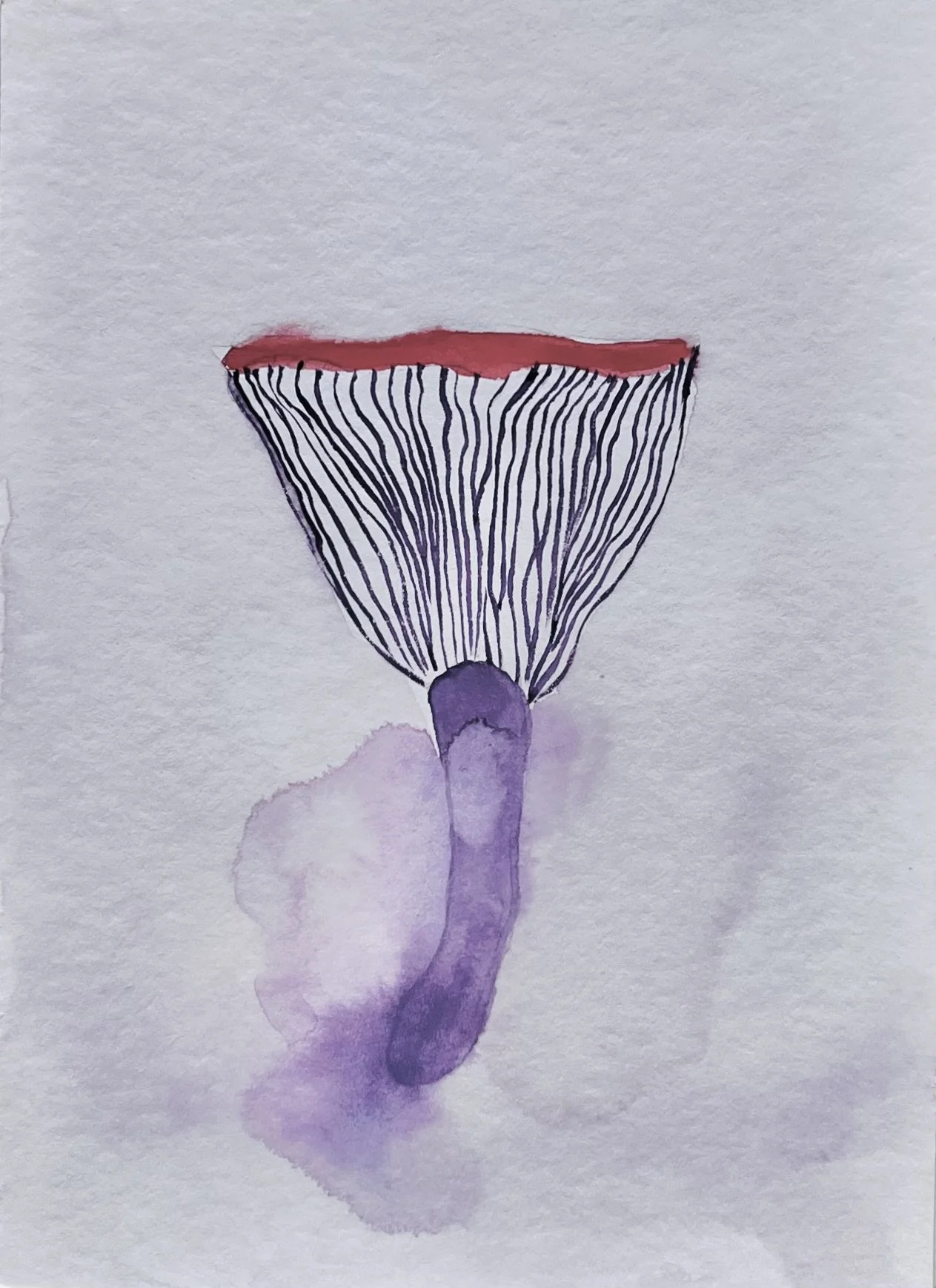 nat-022 aquarelle (12X14,7) 2024