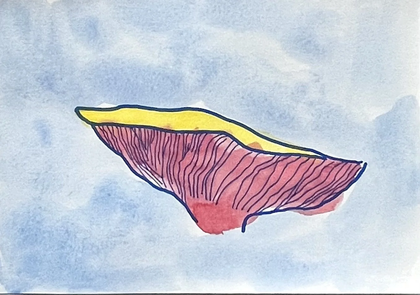 nat-007 feutre, encre, aquarelle (14,8X21) 2023