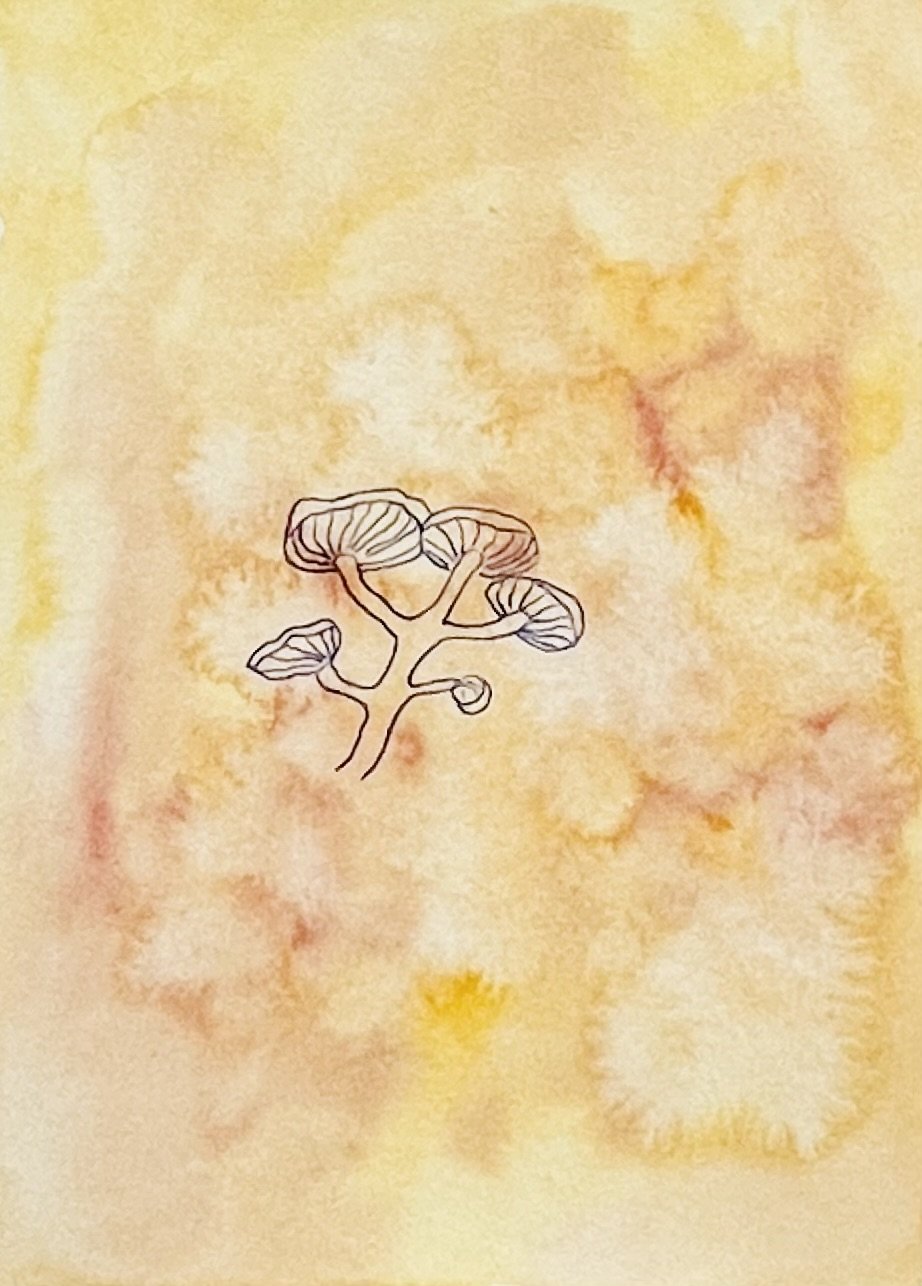 nat-015 encre, aquarelle (14,8X21) 2024