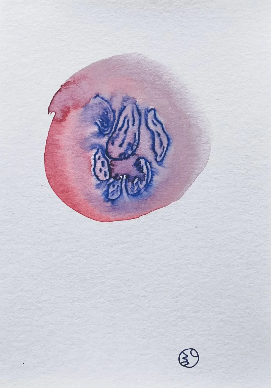 nat-045 encre, aquarelle (12X14,7) 2024