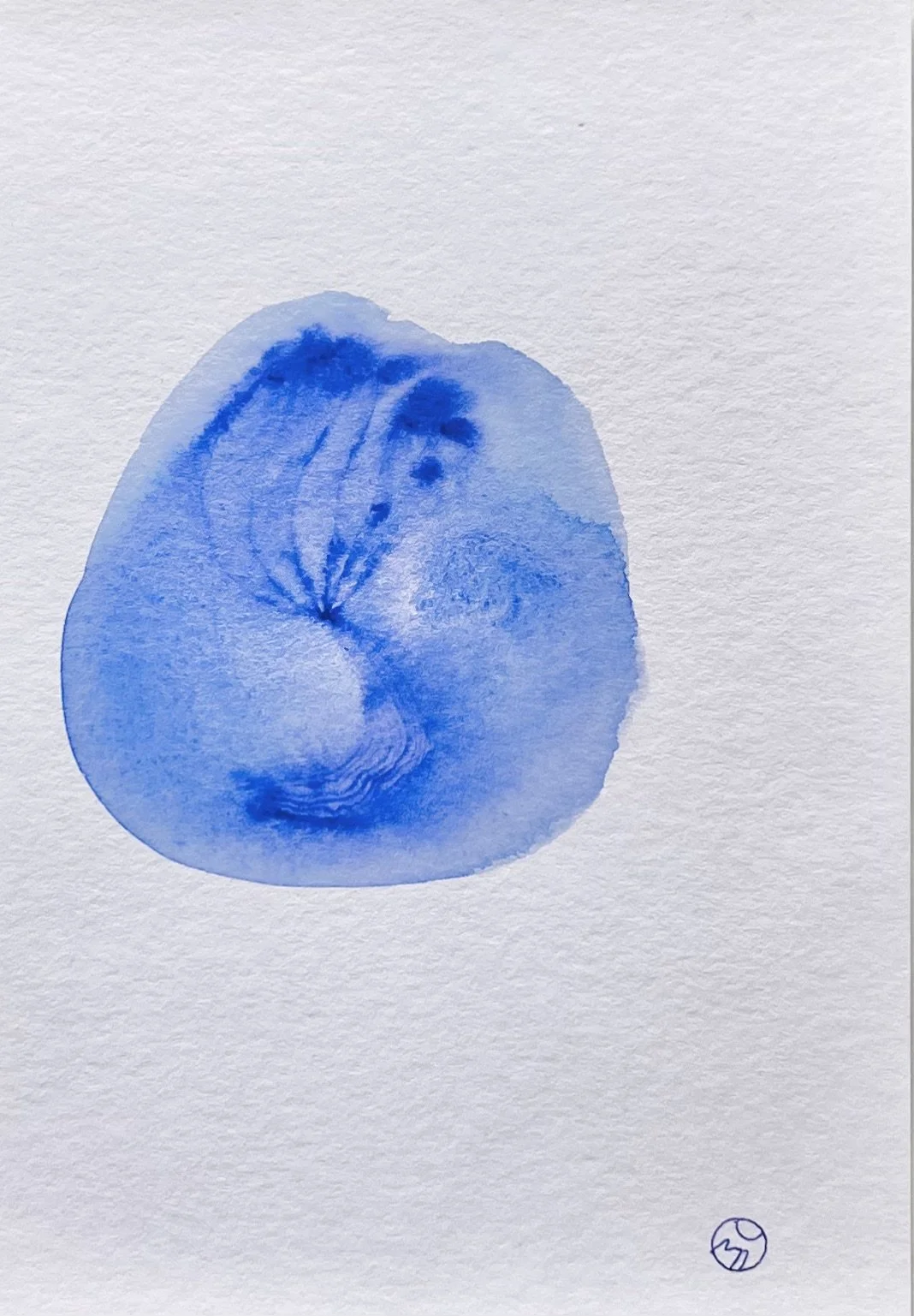 nat-039 encre, aquarelle (12X14,7) 2024