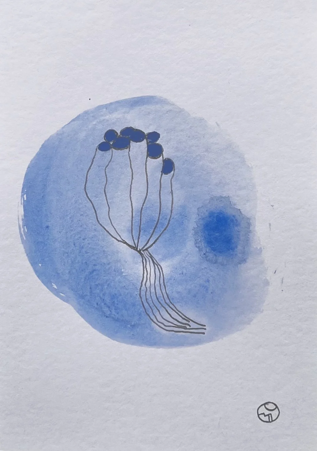 nat-043 encre, aquarelle (12X14,7) 2024