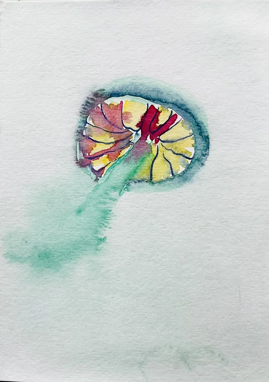 nat-018 aquarelle (12X14,7) 2024