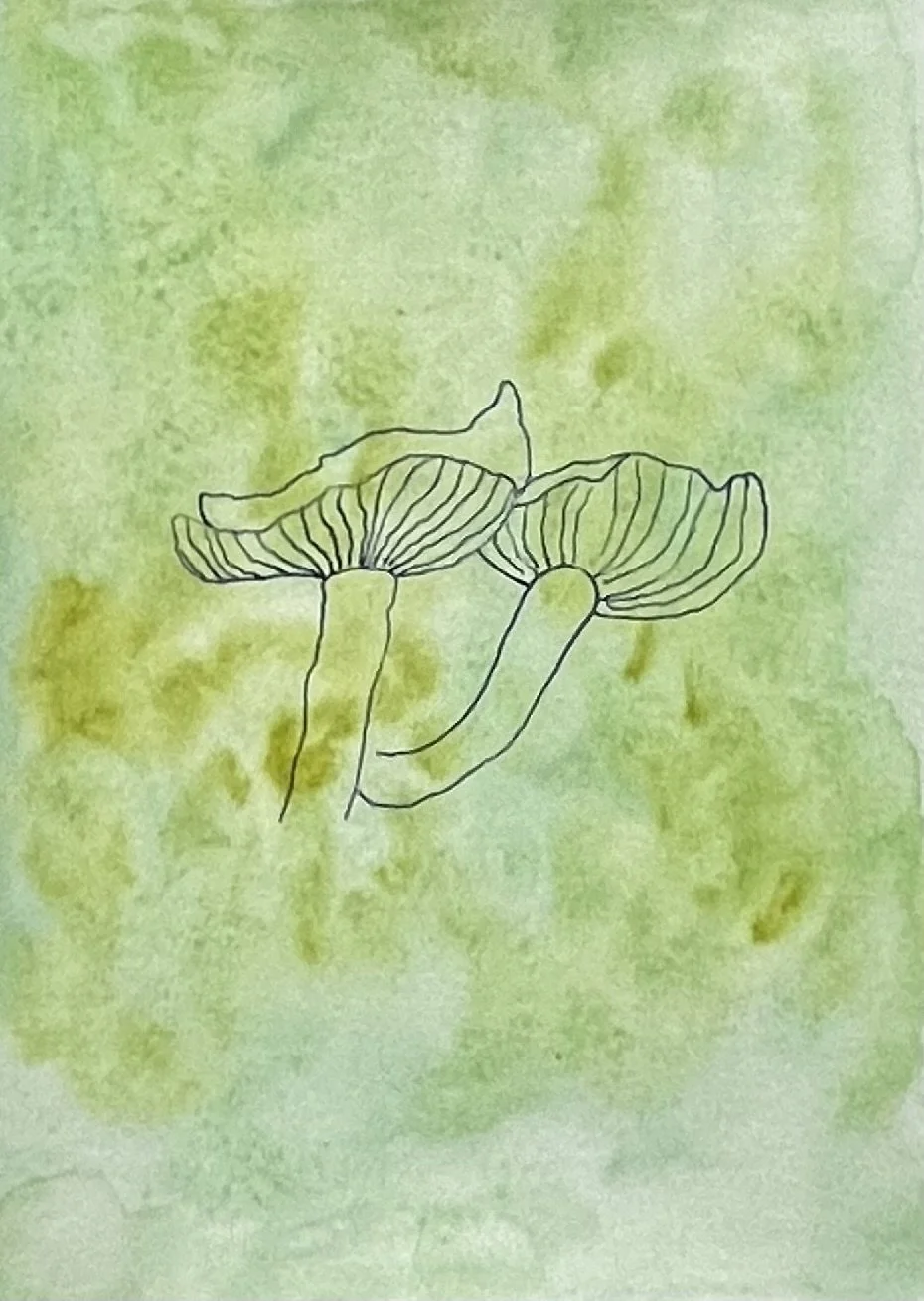 nat-016 encre, aquarelle (14,8X21) 2024