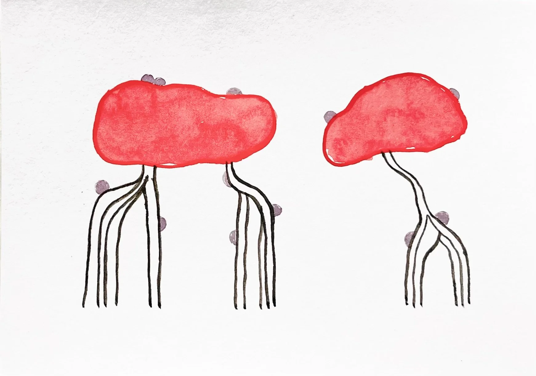 nat-030 aquarelle (12X14,7) 2024