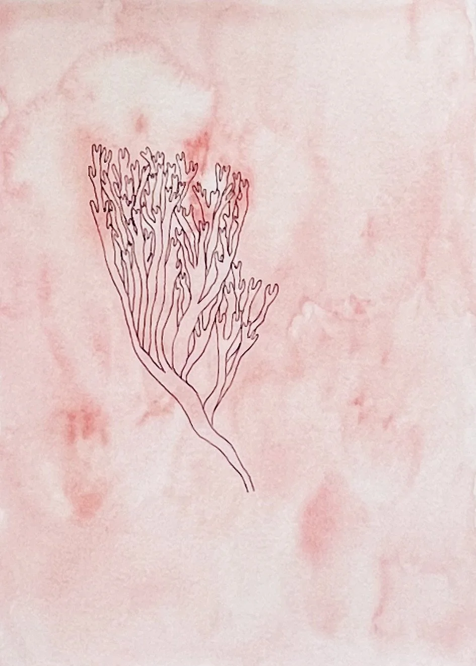 nat-010 aquarelle, encre (14,8X21) 2024