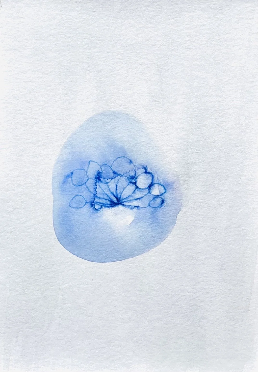 nat-050 encre, aquarelle (12X14,7) 2024