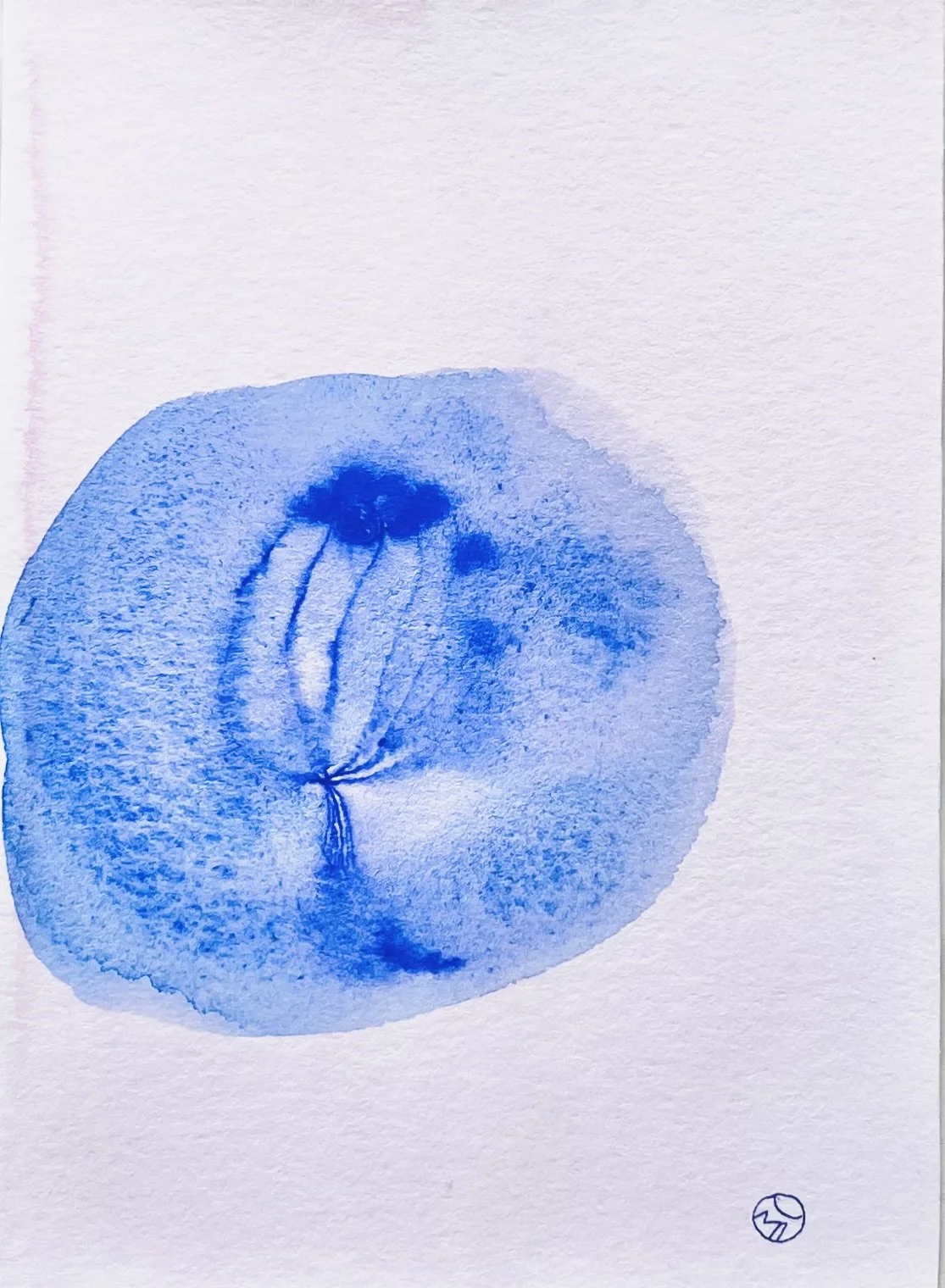 nat-040 encre, aquarelle (12X14,7) 2024