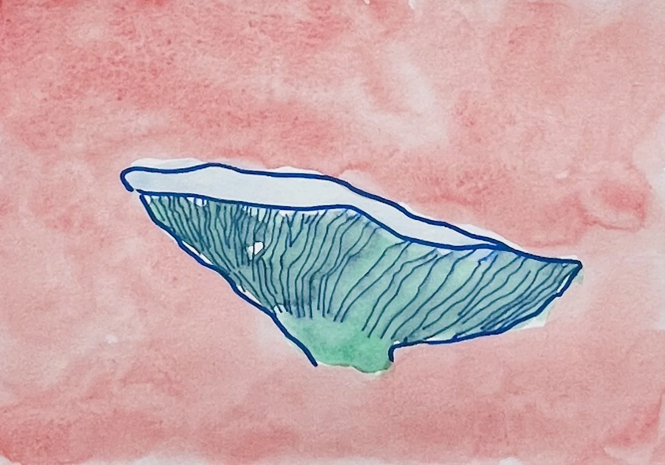 nat-006 aquarelle, feutre, encre (14,8X21) 2023