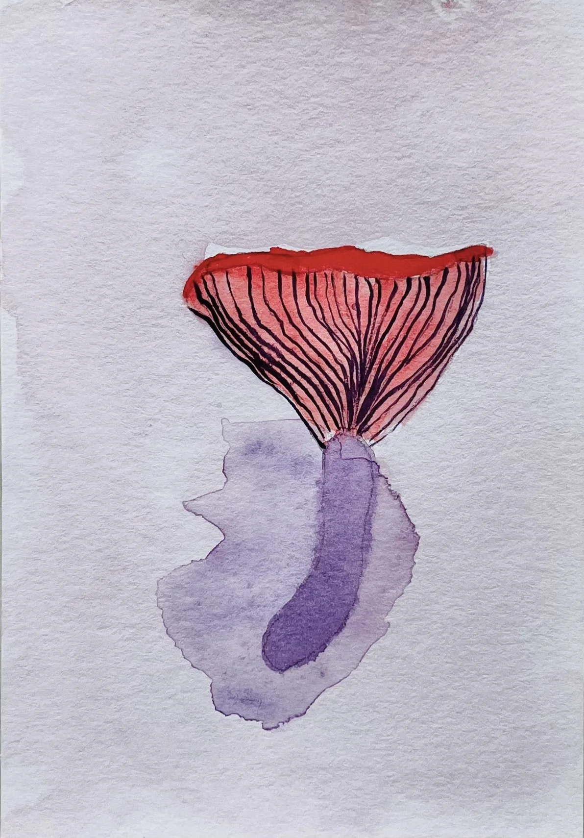 nat-021 aquarelle (12X14,7) 2024