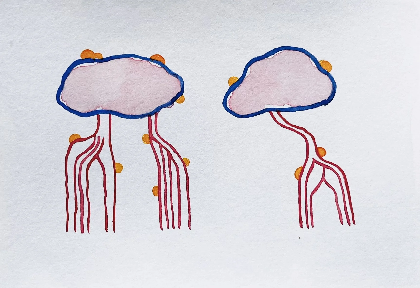 nat-031 aquarelle (12X14,7) 2024