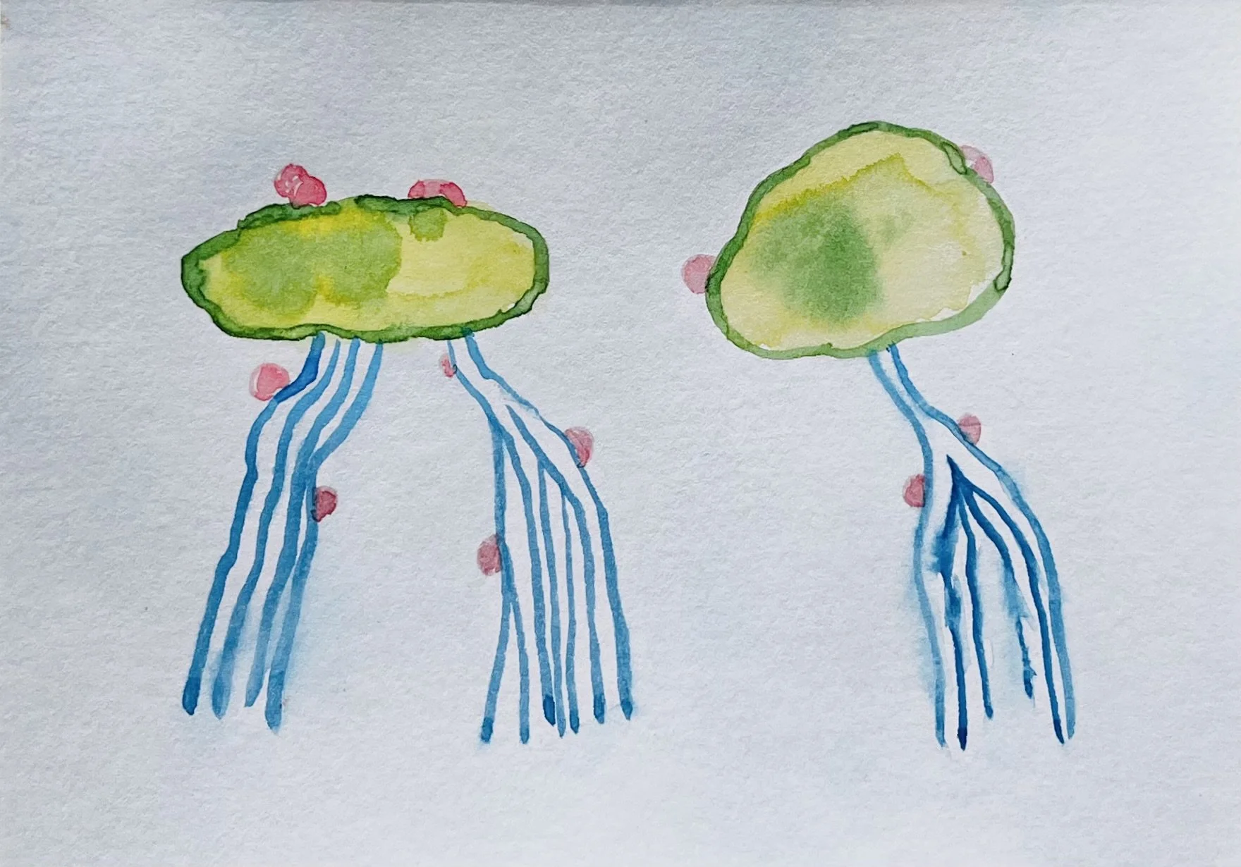 nat-033 aquarelle (12X14,7) 2024