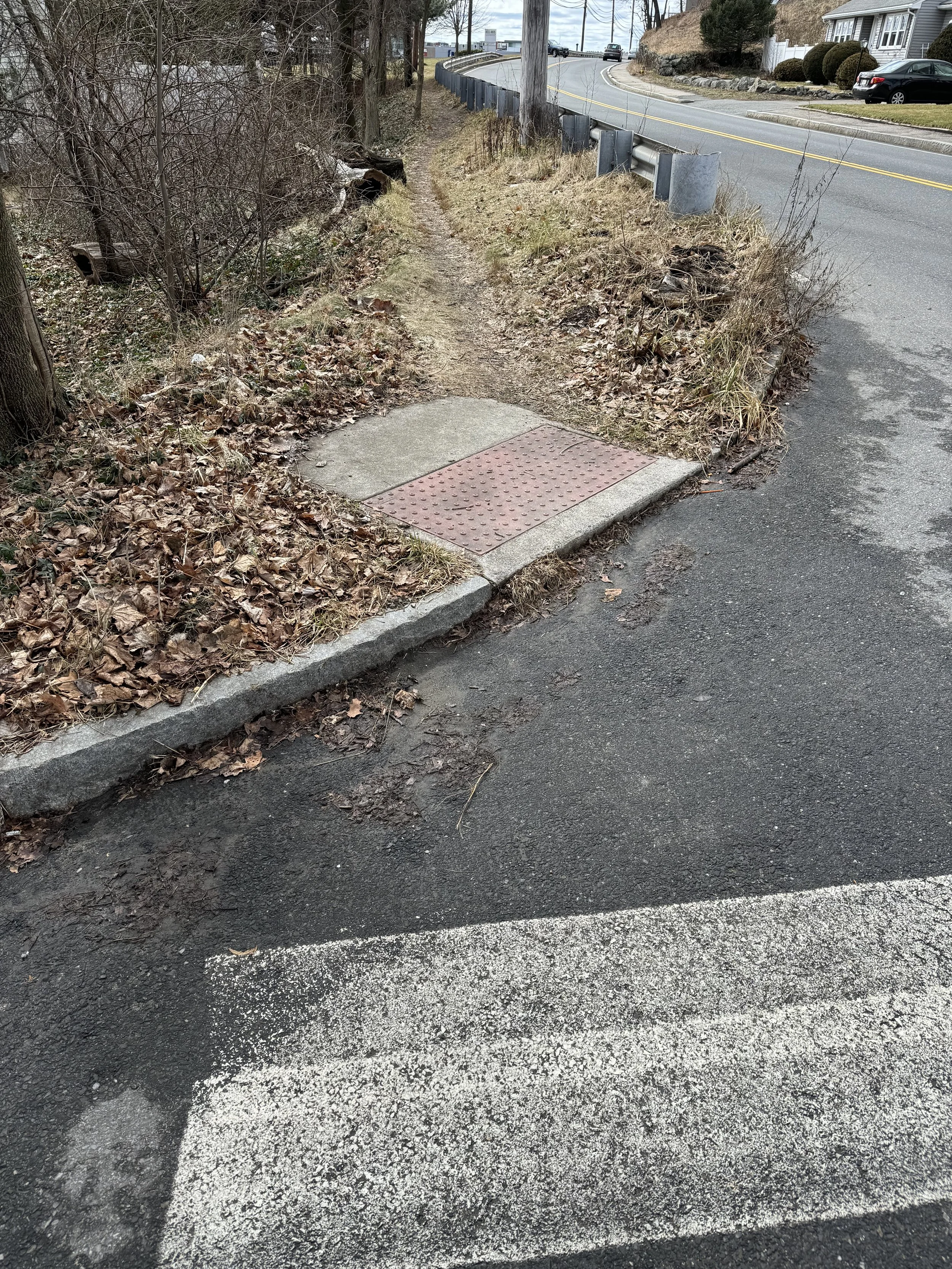 ADA compliant curb cut along Beaver St that leads into the a mud path cut in the grass by foot traffic