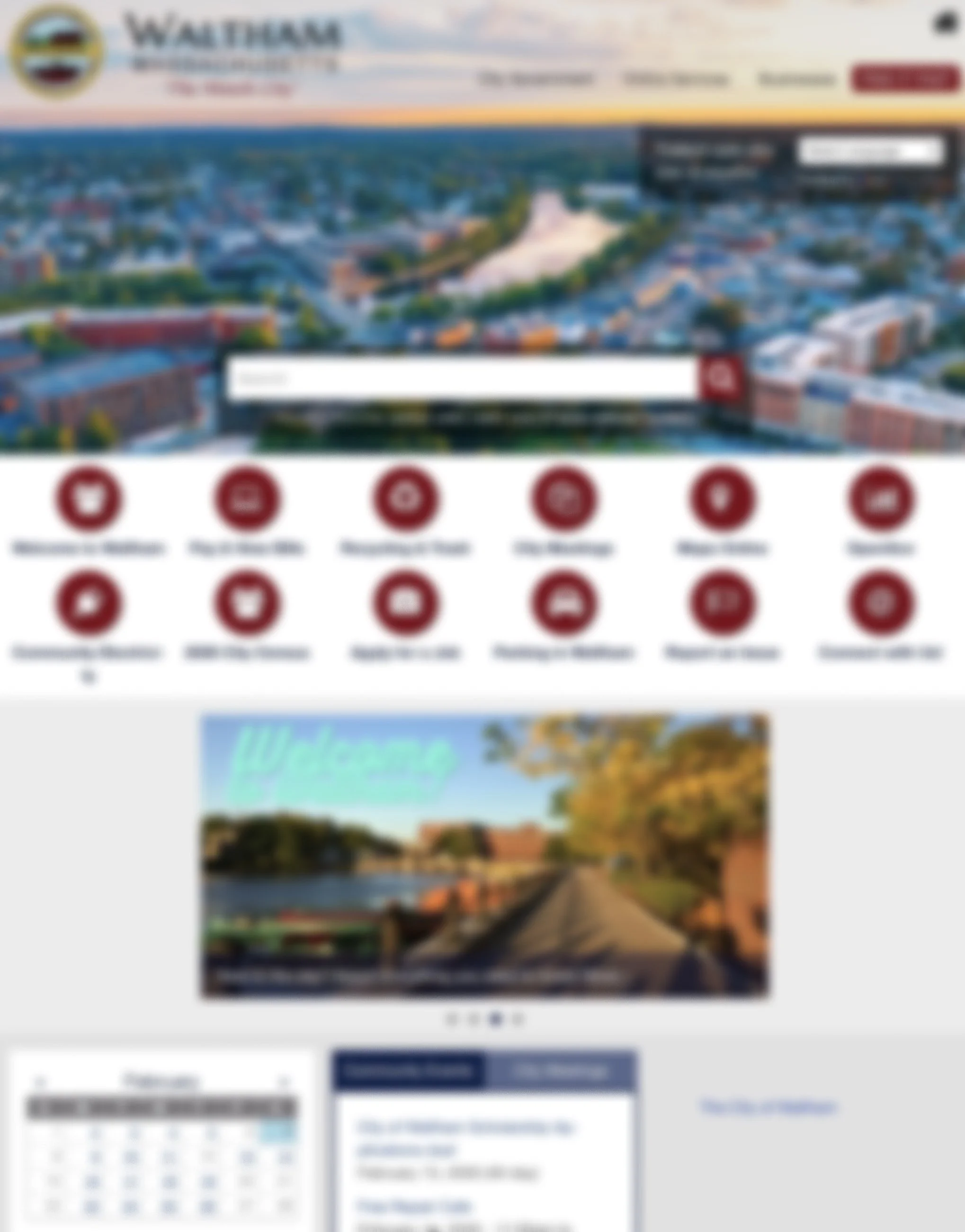 Waltham City Website (Blurred Example)