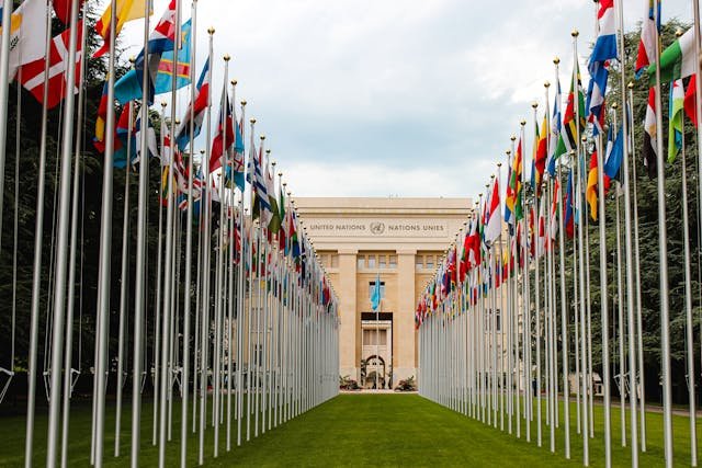 Row of flags from various countries leading to the United Nations building.