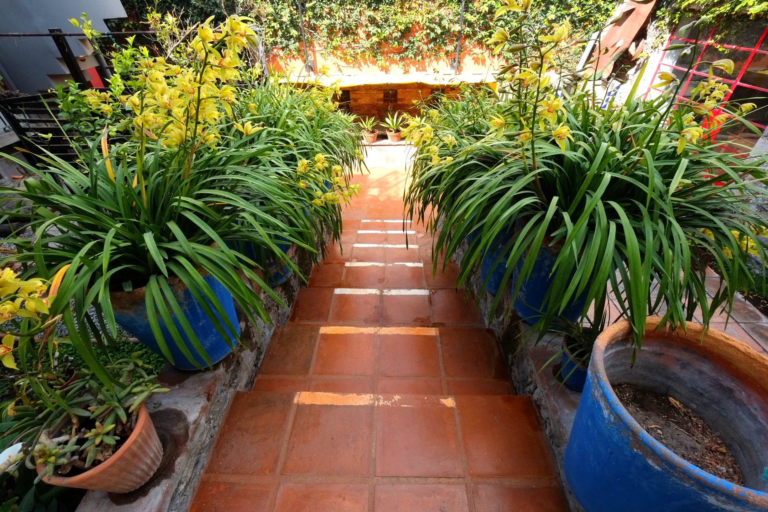 32-Patio.JPG