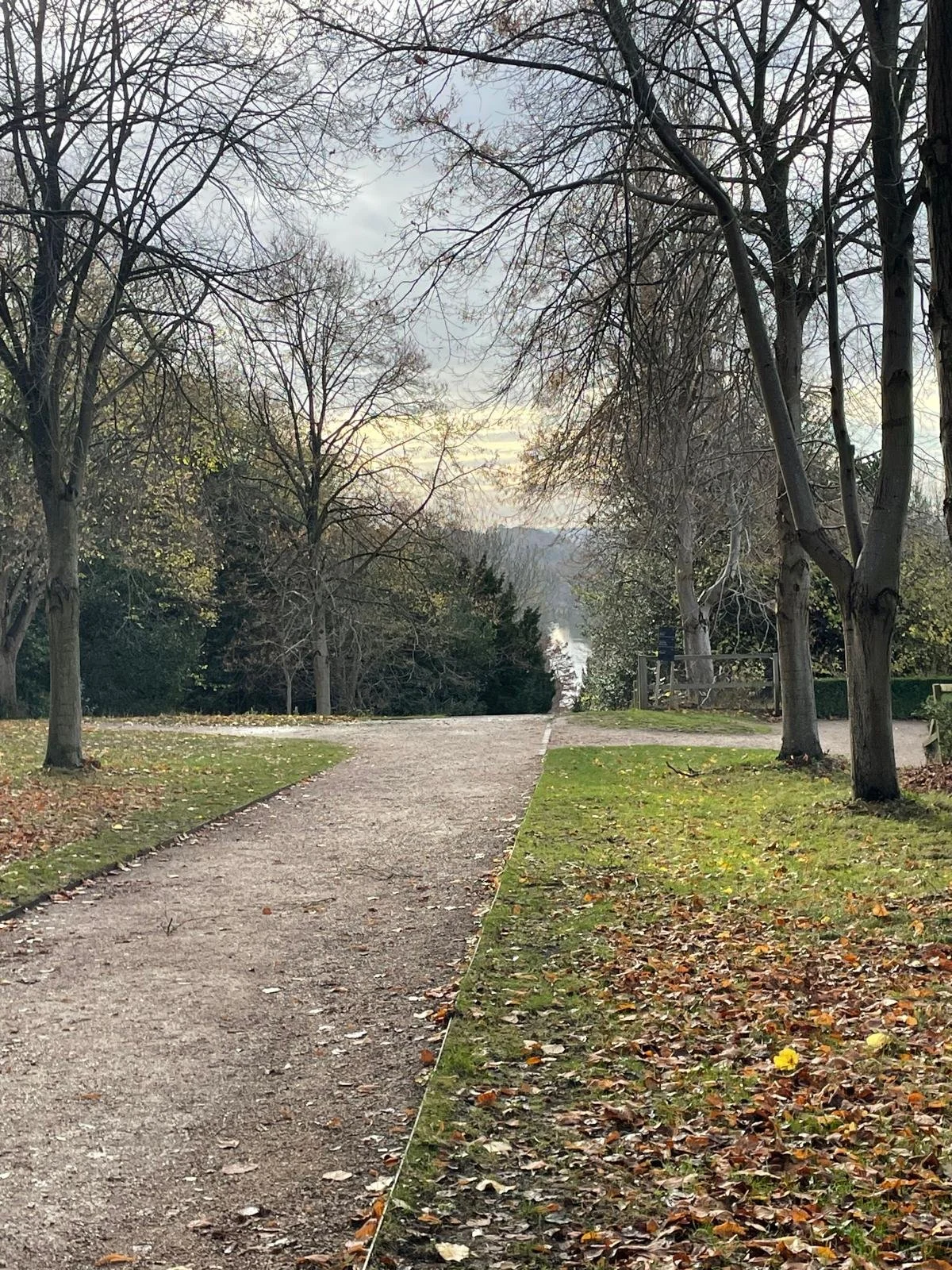 A tree-lined park pathway with bare trees on either side, fallen leaves on the grass, early evening sky, and a view of distant hills through the trees.