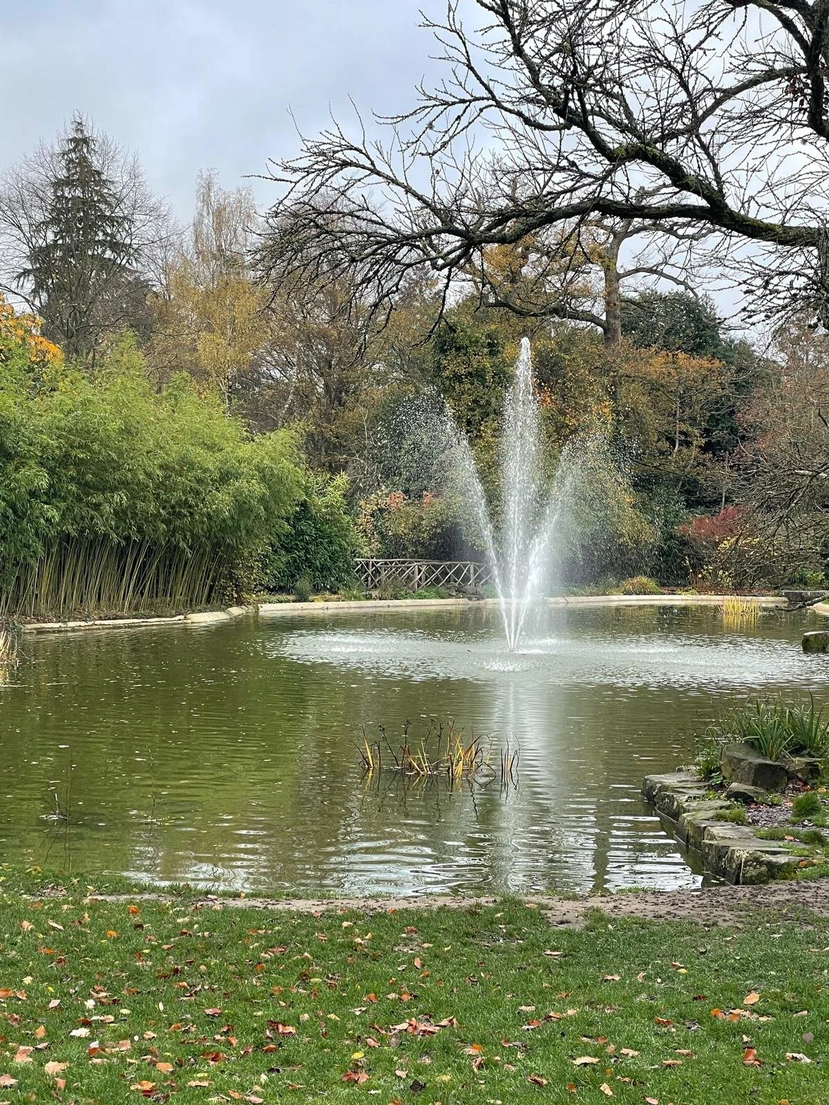 A pond with a fountain in the center, surrounded by trees with some leaves falling, indicating an autumn scene.