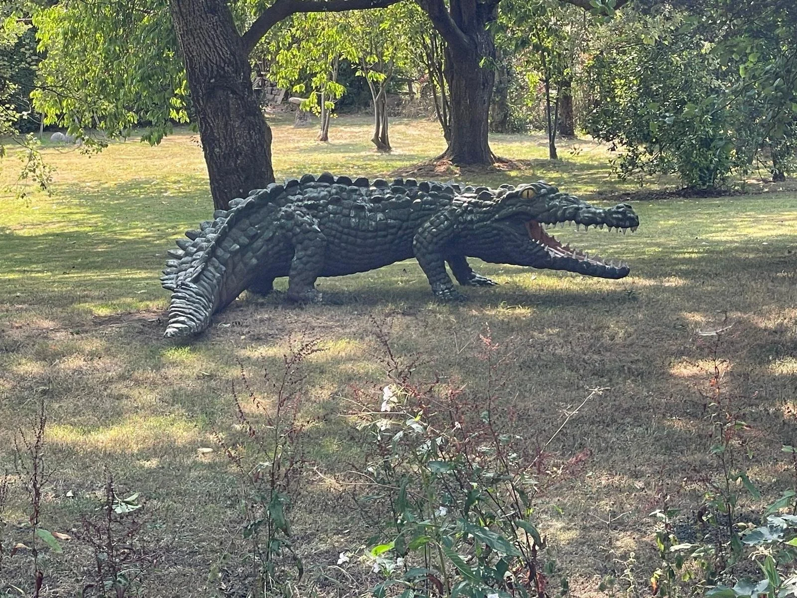 A realistic sculpture of a Crocodile with its mouth open, situated on a grassy area under trees.