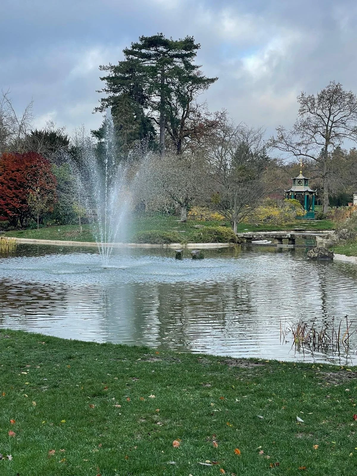 A park scene with a pond, fountain, trees, and a gazebo in the background, during overcast weather.