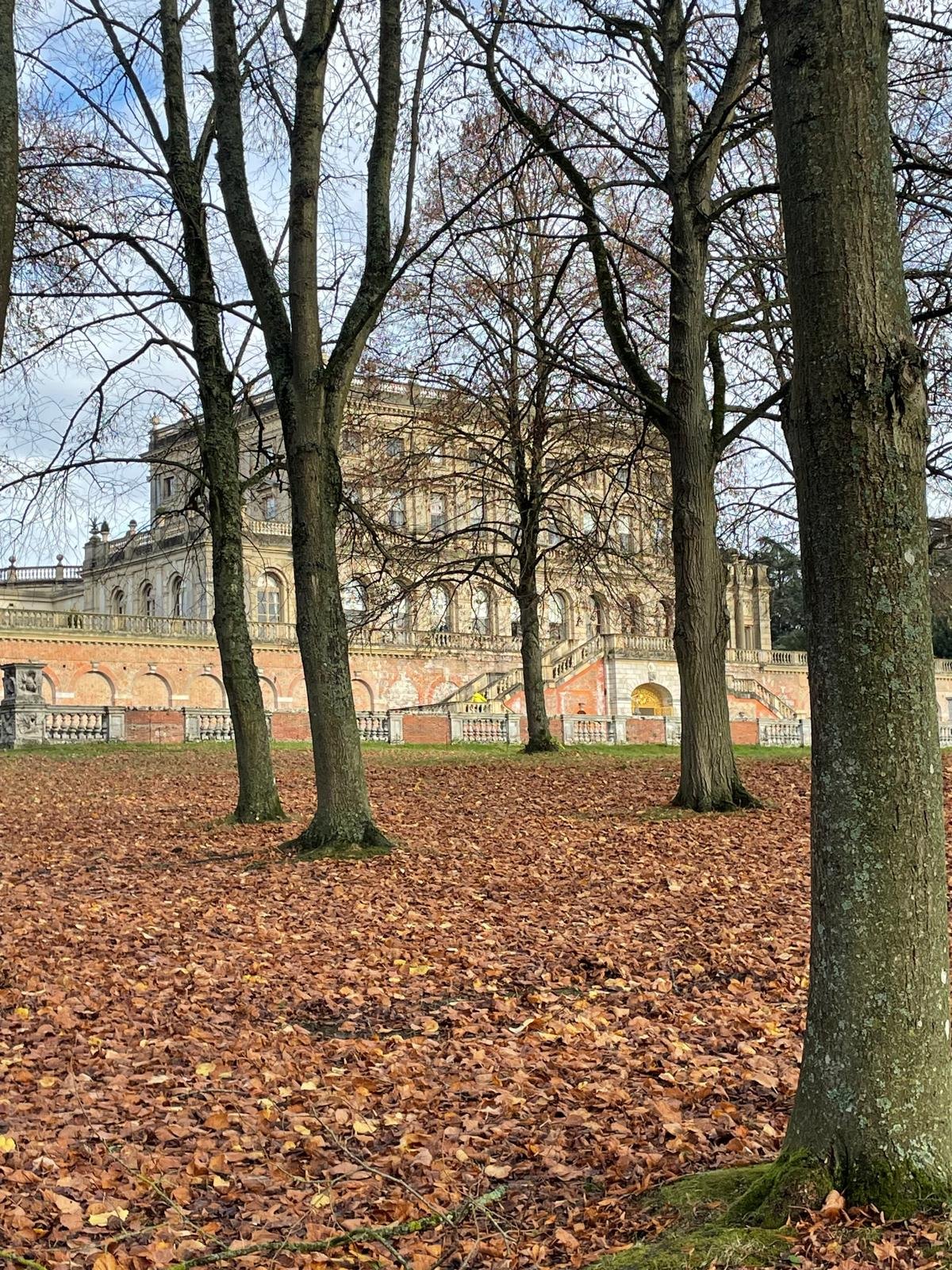 A large historic building seen through trees with bare branches and fallen autumn leaves on the ground.