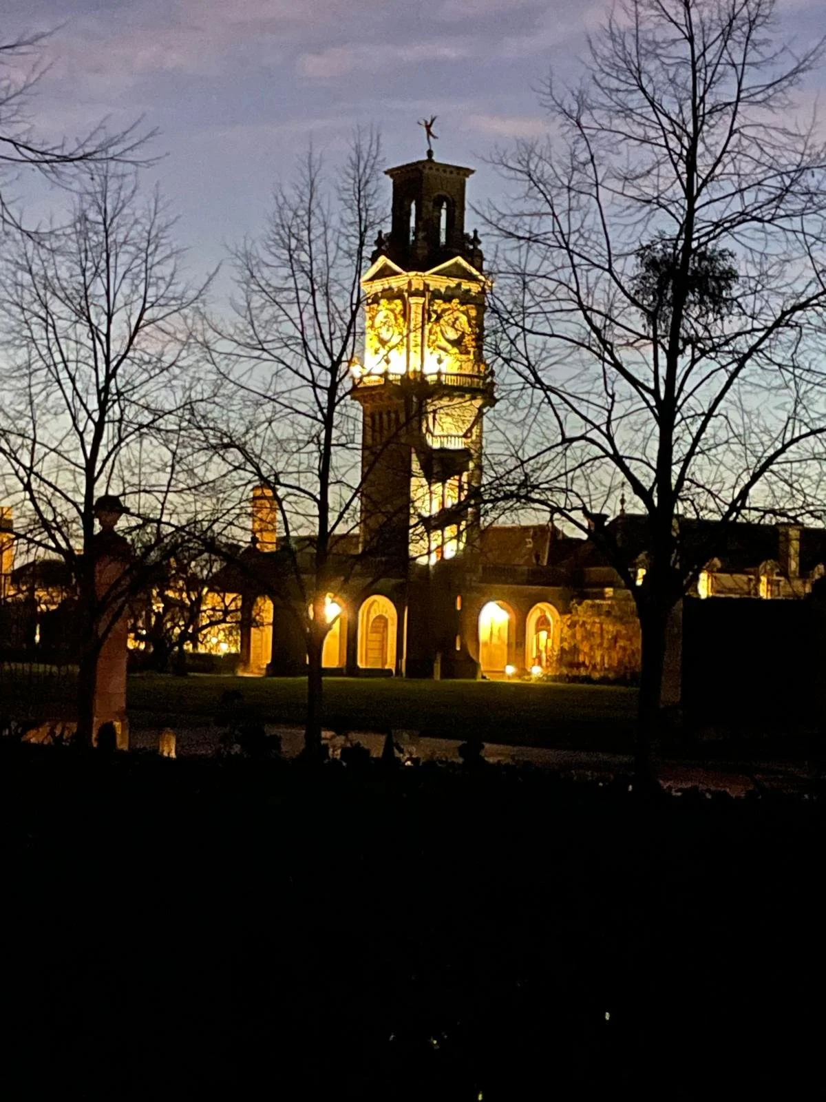 A tall clock tower illuminated at night, with bare trees in the foreground and a clear evening sky in the background.