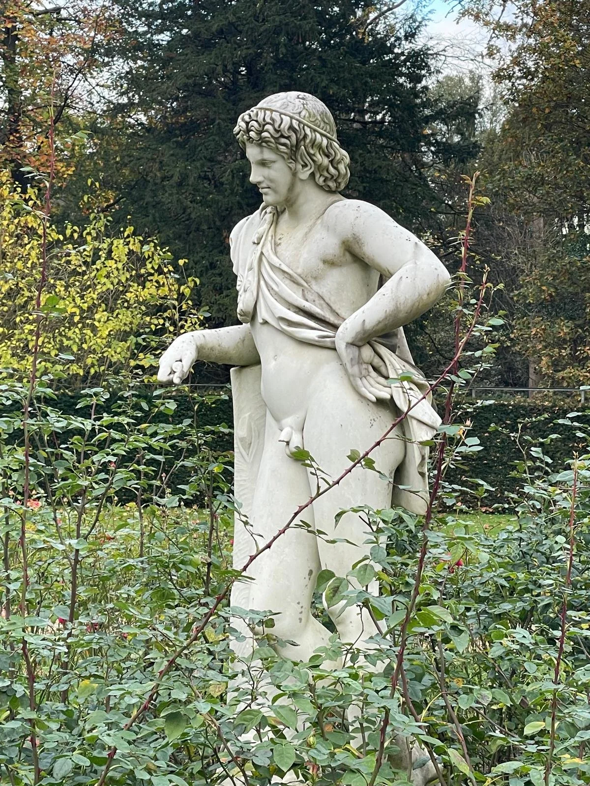 A marble statue of a young man with curly hair, wearing a draped cloth, standing among bushes and plants with trees in the background.