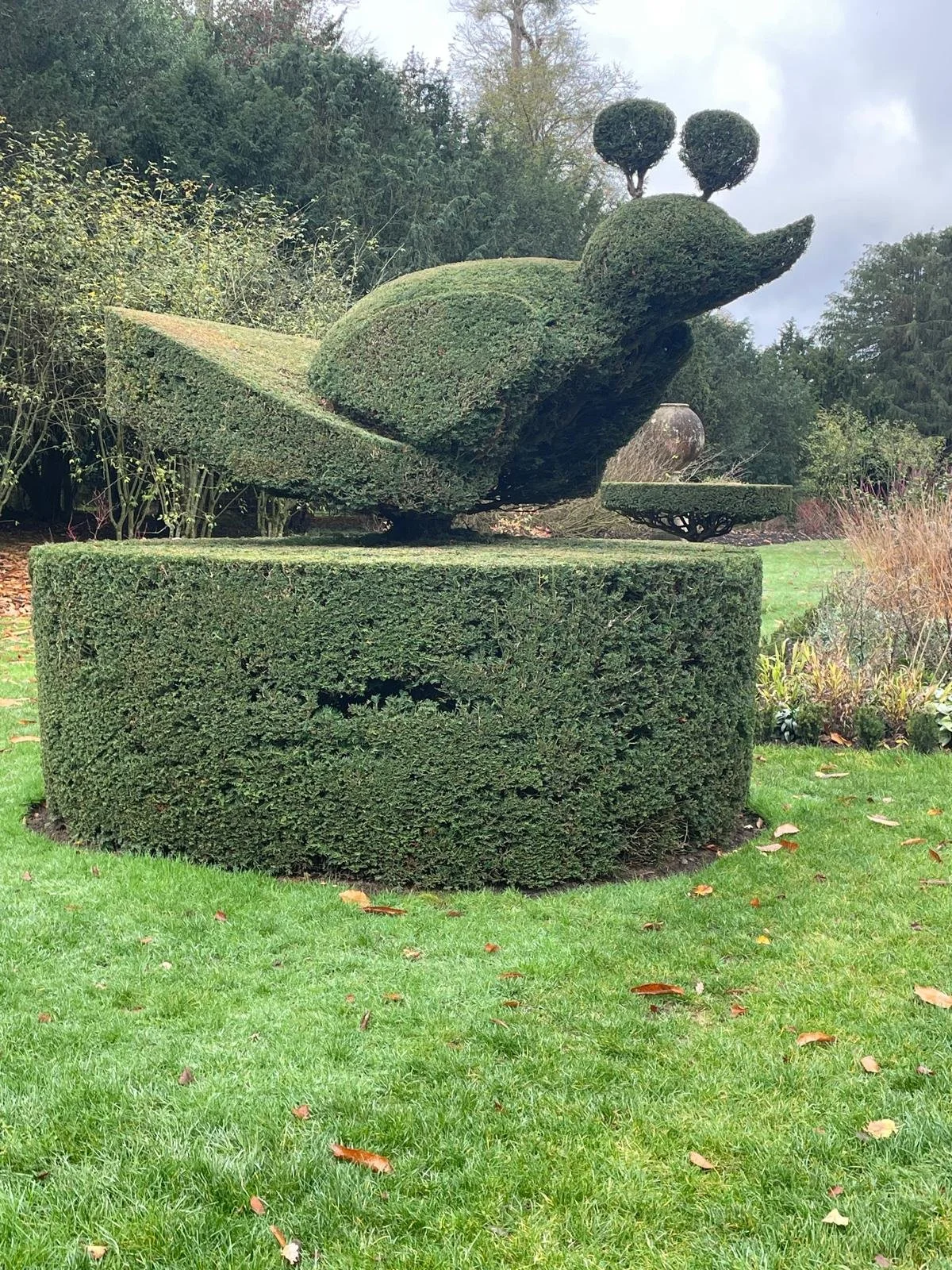 Topiary sculpture of a duck, made from trimmed green bushes, situated on a round bush base in a garden with trees and shrubs.