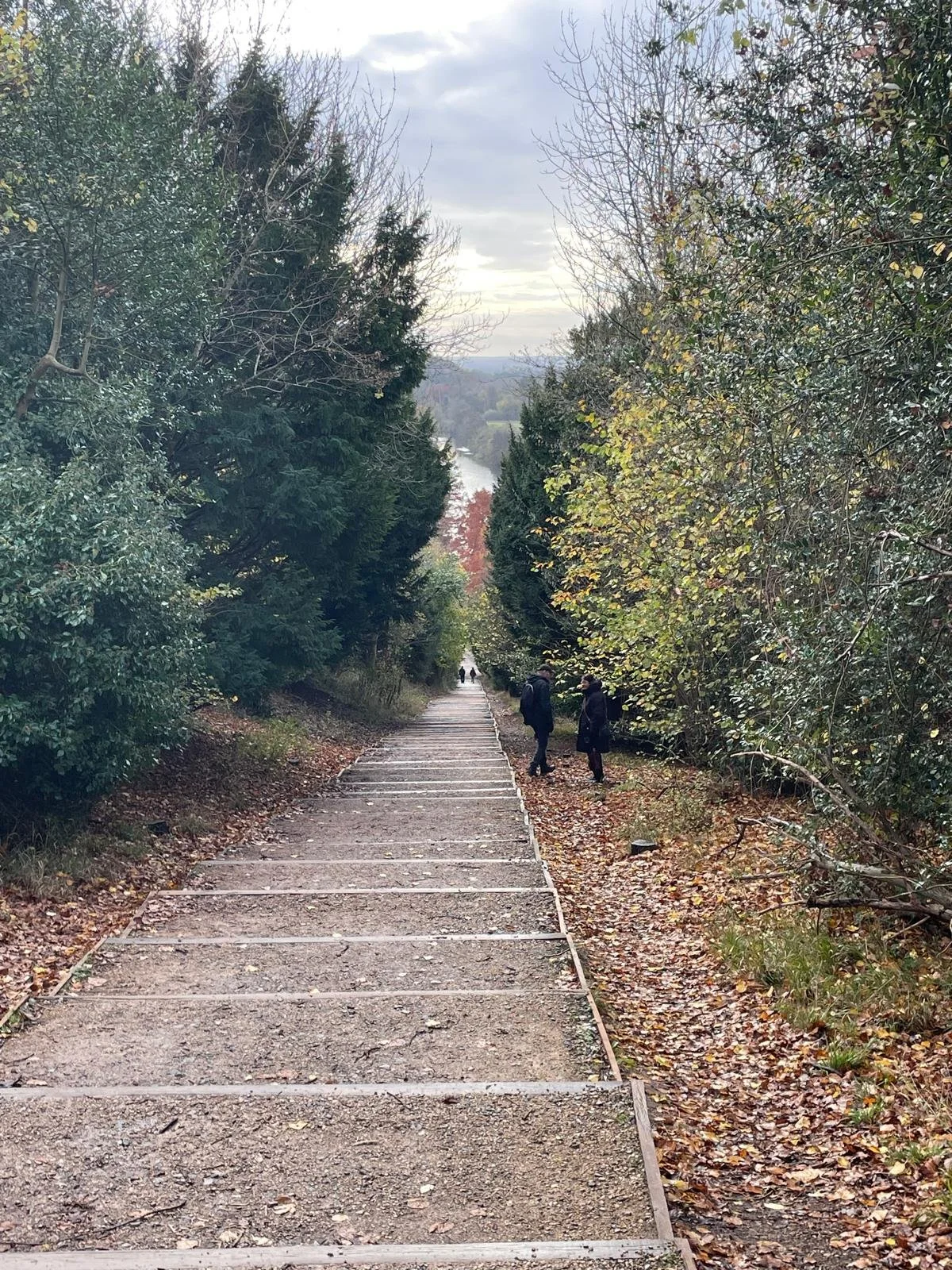 A steep outdoor staircase surrounded by dense trees on both sides, with several people walking up and down during autumn.