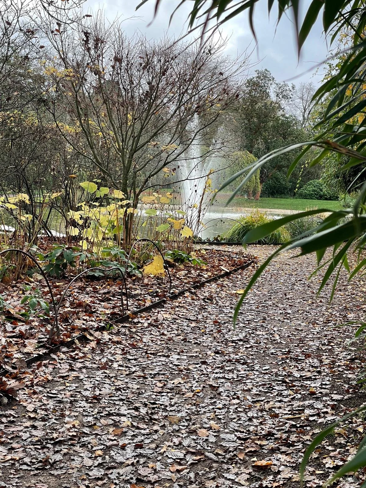 A park with a dirt and leaf-covered pathway, trees with mostly bare branches, some green and yellow leaves, and a pond with a fountain in the background, under a cloudy sky.