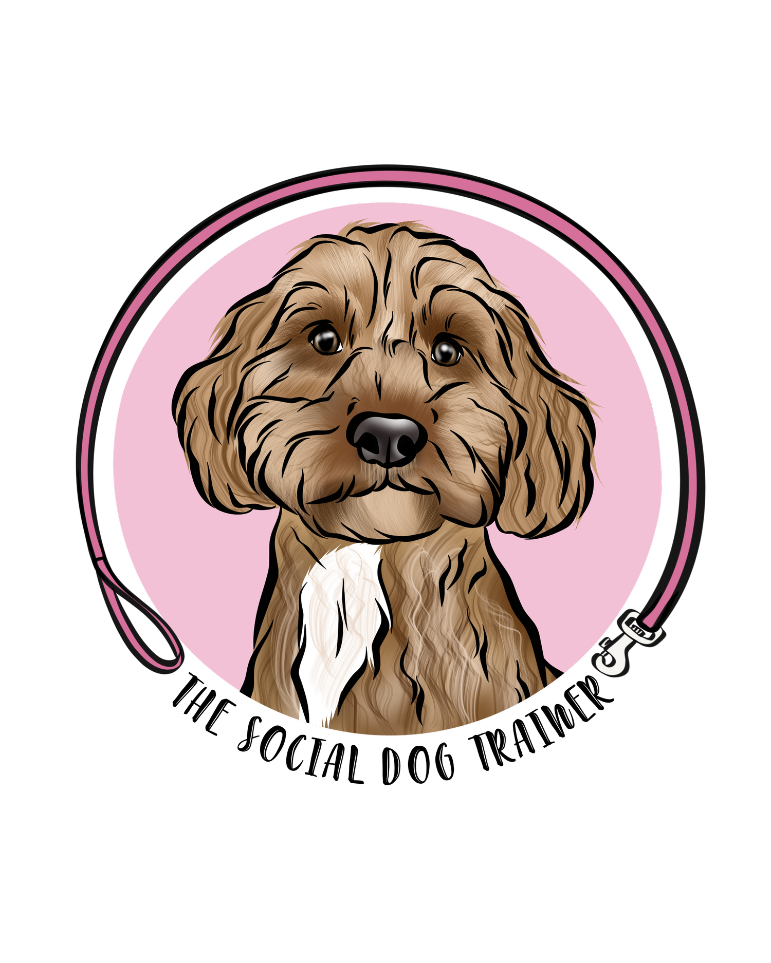 The Social Dog Trainer