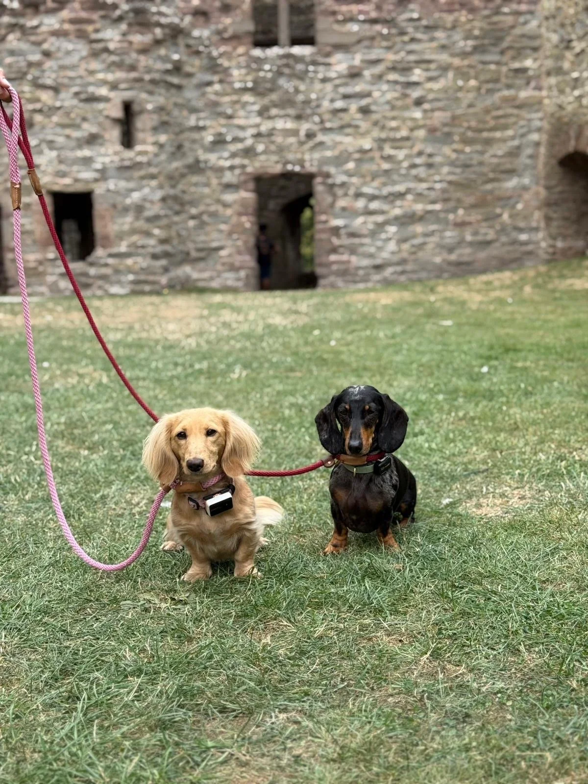 The In Person Program