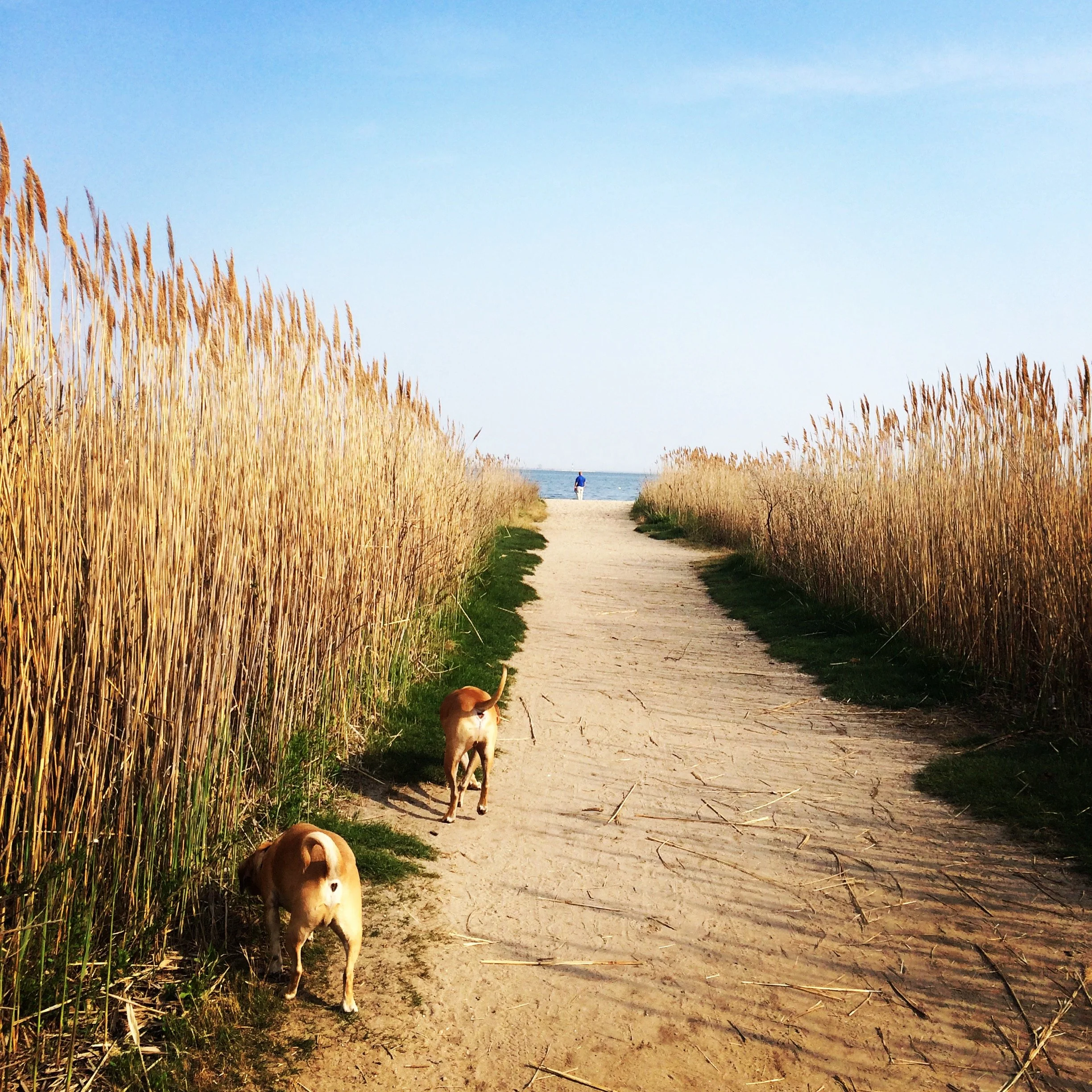 our services cover.JPG